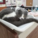 수원종합동물병원 이미지