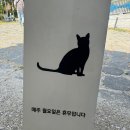 다락카페 | 부산 기장 철마 아홉산 숲 옆 카페다락 방문후기