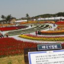 고려여행사