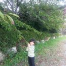 시현민박 이미지