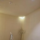 숨스칼프 이미지