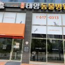 태양 동물병원 이미지