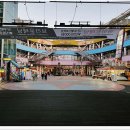 라페스타 이미지