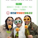 인천석정초등학교 티스토리
