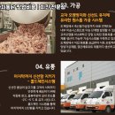 가마치통닭서 네이버블로그