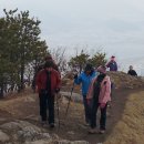 백양산막걸리 이미지