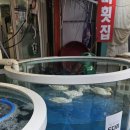 성산읍 고성sk1빌라 옆 | [공지] Jeju