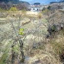 강청리농장 이미지