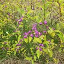 신구 대학교 이미지