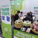 팜코리아 이미지