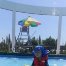 문창초교병설 이미지