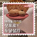 26410-591-003-8 | [14개월 아기와 삿포로 한달살기] 55~57일차 : 삿포로 장외시장, 마에다 삼림공원, 스키야키 산코샤...