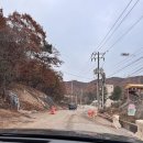 수지애견 | 용인 수지 별똥구리 마운틴뷰 애견카페 방문후기