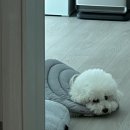 356카센터 이미지