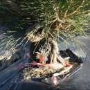 석부농장 이미지