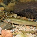 유상수산 이미지