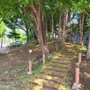 합정초 삼거리 이미지