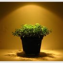 낭만콘서트 이미지