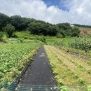 청운(용두)시외버스터미널 이미지