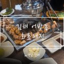 분성로 | [김해] 어방동 고기 맛집 ‘화로돼지’ 방문후기