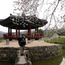 면천군자정 이미지