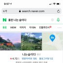 나는숲이다 이미지