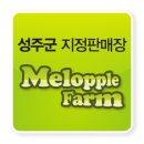 오점열농장 네이버블로그