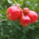 민다약국 이미지