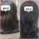 오복미용실 - 동작구 | 오복미용실