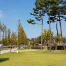 안성맞춤가족공원 이미지