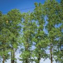 혜연농장 이미지