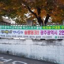 와라스포츠
