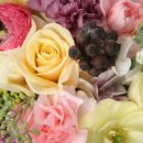 은혜화원 이미지