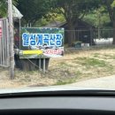 월성계곡산장 | 거창 맛집 월성계곡 평상대여 계곡뷰 20번 월성계곡산장