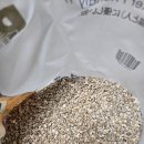 시소 펫 | [고양이모래추천] 기브미 펫 냄새 걱정 끝! 집사가 직접 써본 솔직 후기