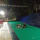 풀내음쉼터 | 풀내음의 추억 - 언덕 위 작은 쉼터