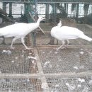 광주조류원 이미지