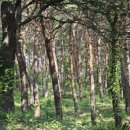 강릉원주대학교 박물관 이미지