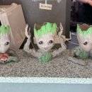 OX PC 명장동점 이미지