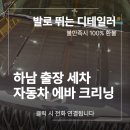 에바 | 하남 에바크리닝 카니발 곰팡이냄새 제거 후기 출장 세차 업체