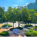 공공미술 프로젝트( 이미지