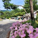 괴산군칠성면외사보건진료소 이미지