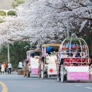 경마공원대로 이미지