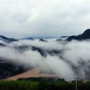 동강전망자연휴양림 이미지