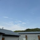 양평쭈꾸미 이미지