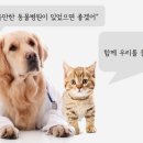 꿈에 동물병원 이미지