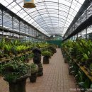 숨도 귤림성 이미지