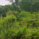 110헤이리 이미지