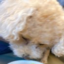 유정1955 이미지