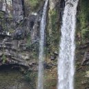 천지동-2 | [관람]제주도 겨울여행 서귀포 가볼만한곳 천지연 폭포 낮과 밤 두번_다녀온 횰이의 솔직한 후기